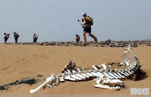 还在犹豫玩什么?我的世界1.20》的沙漠探索与考古玩法不香吗? 还在犹豫玩什么?我的世界1.20》的沙漠探索与考古玩法不香吗?