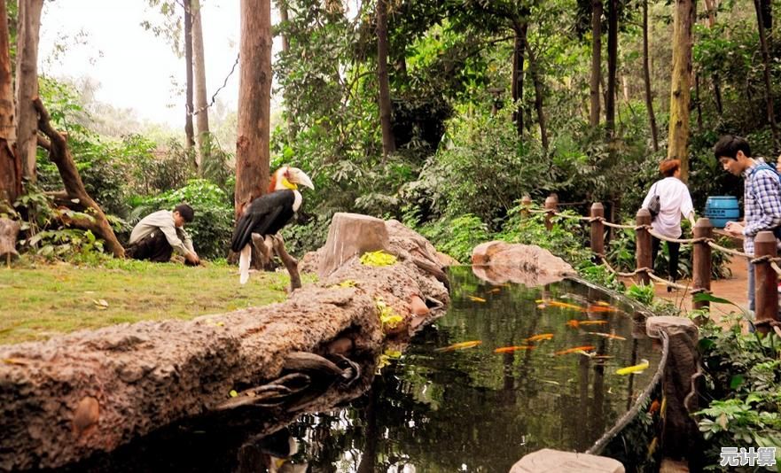 为什么不来《欢乐动物园3D》养珍稀动物,建梦幻乐园? 为什么不来《欢乐动物园3D》养珍稀动物,建梦幻乐园?