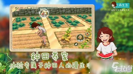 想体验田园生活的乐趣?试试《小森生活中文版》吧! 想体验田园生活的乐趣?试试《小森生活中文版》吧!