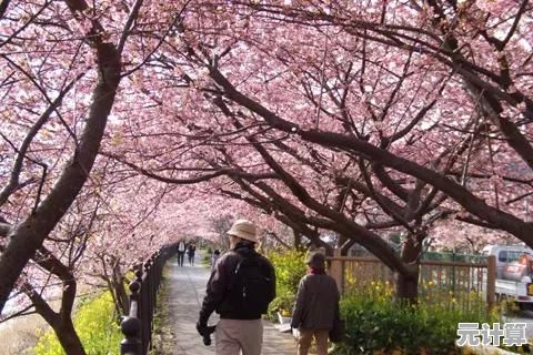 想体验自由探索的校园生活？樱花校园1.040.11英文版》满足你的所有幻想！