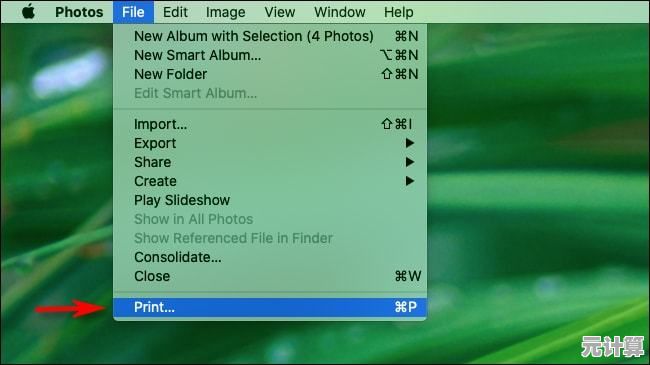 轻松掌握苹果序列号查询技巧，快速辨别设备真伪与来源