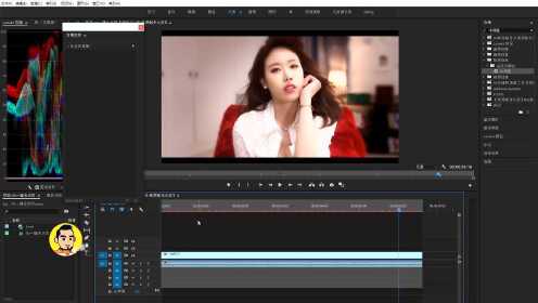 专业级视频去水印工具，让画面干净流畅无痕处理！