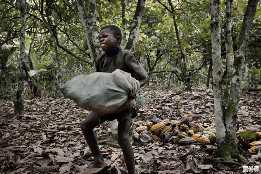还在寻找一款轻松有趣的模拟经营游戏？可可谷农场冒险等你来挑战！
