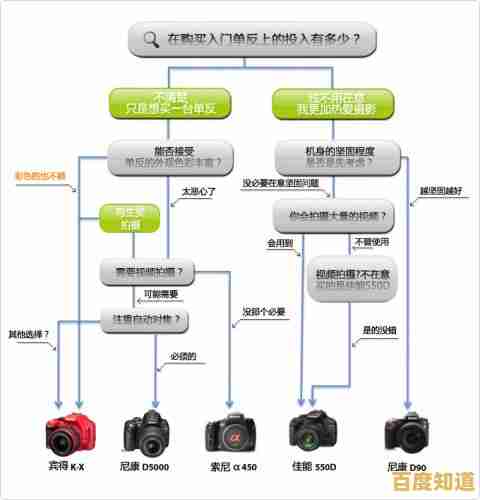 探索单反天梯图：从入门到精通的摄影技巧全解析