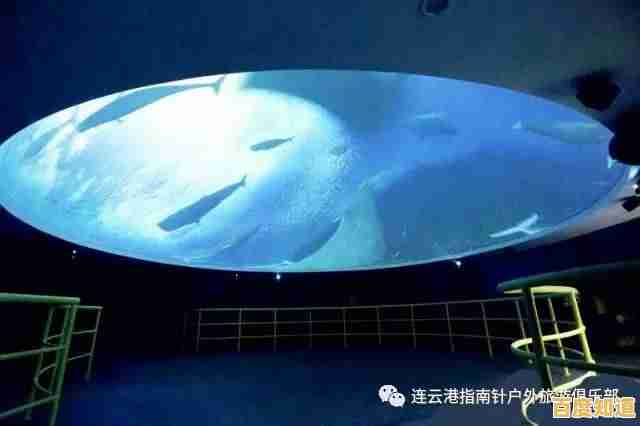 沉浸式海洋冒险体验：大白鲨游戏机带来极致畅快的游戏乐趣！