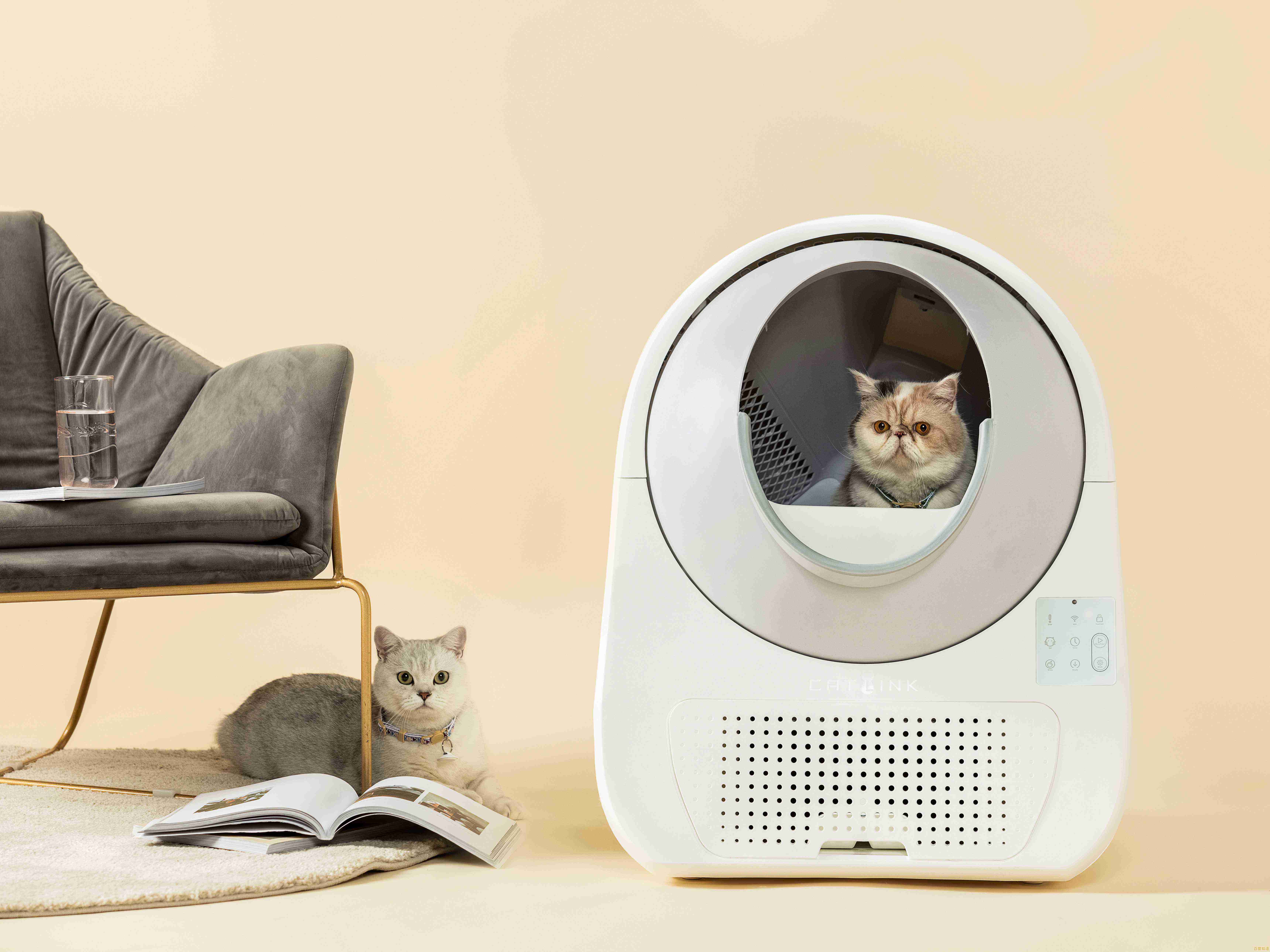 当猫咪遇上高科技路由器：探索智能养宠的未来趋势