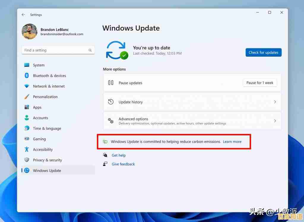 彻底关闭Windows 11设备更改提示的完整设置教程 彻底关闭Windows 11设备更改提示的完整设置教程