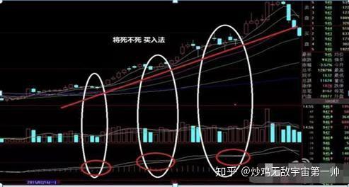 网心云快速上手：2024年实用技巧与高效应用全解析