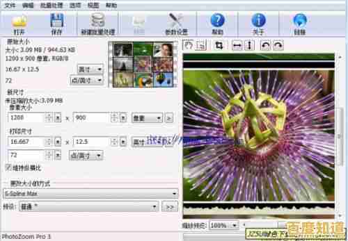 如何在Windows 11中自定义显示字体大小与清晰度 如何在Windows 11中自定义显示字体大小与清晰度