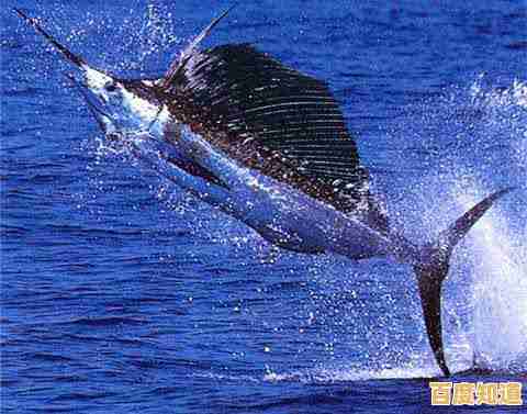 还在为宝宝寻找寓教于乐的游戏？宝宝钓鱼》让探索海洋变得超有趣！