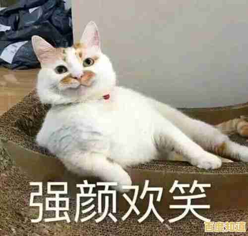 谁说养猫必须现实？猫咪后院汉化版》的卡通世界难道不能让你随时随地云吸猫？