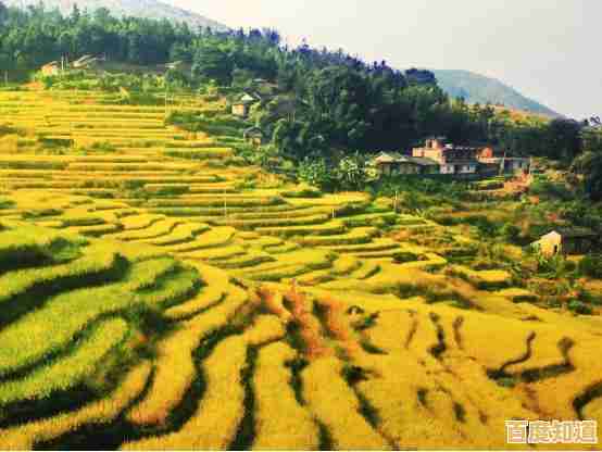 Office 2010激活全攻略:装机达人手把手教学 Office 2010激活全攻略:装机达人手把手教学