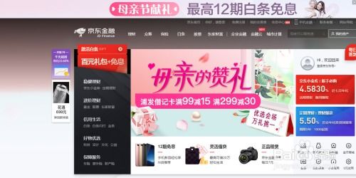 解锁京东白条隐藏功能:提升消费体验与资金管理的详细方法分享