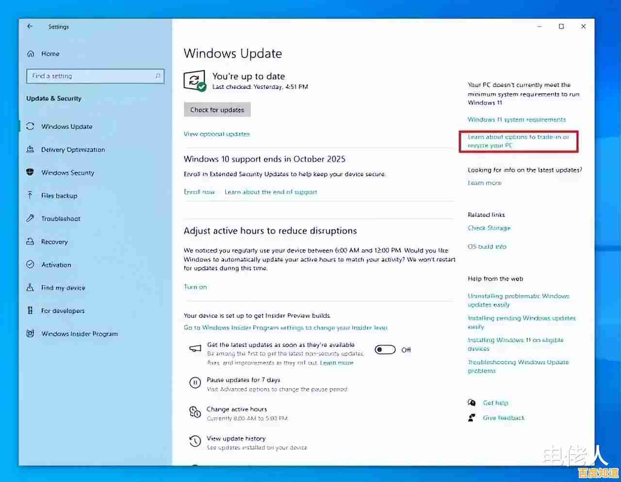 Windows 11 正版系统采购成本解析与预算规划指南