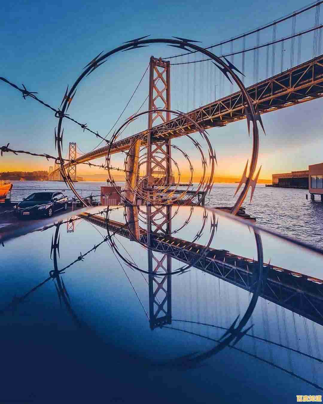 品鉴苹果手机摄影:科技与美学共舞的极致呈现 品鉴苹果手机摄影:科技与美学共舞的极致呈现