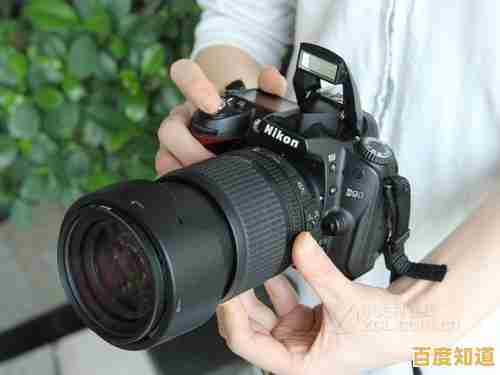 掌握尼康相机天梯图阅读技巧,快速定位理想机型