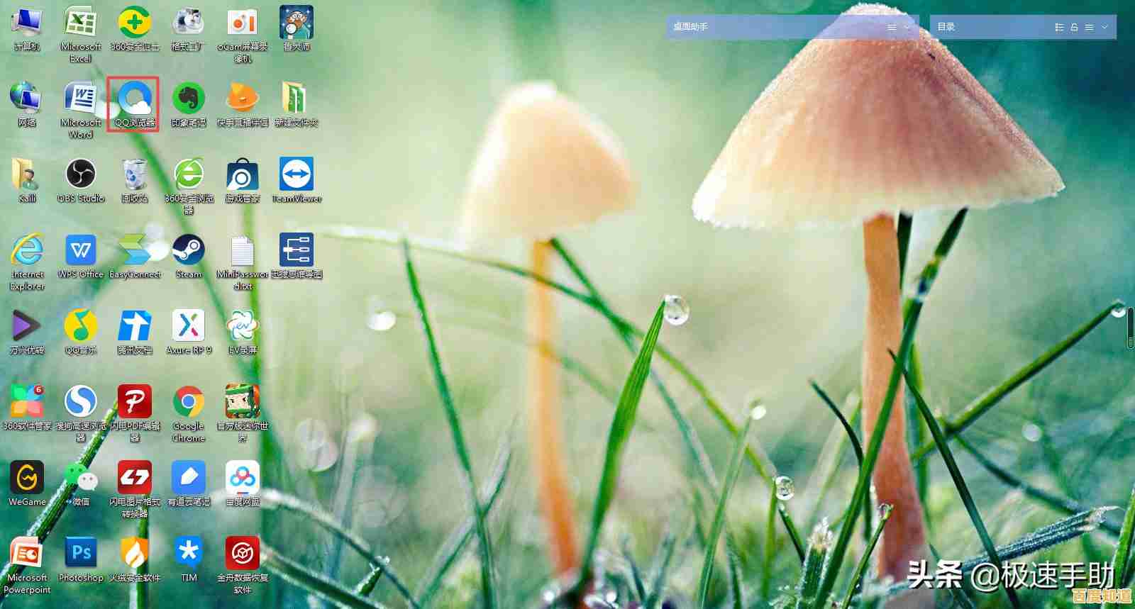 详细教程：如何快速更改QQ密码并增强账户保护