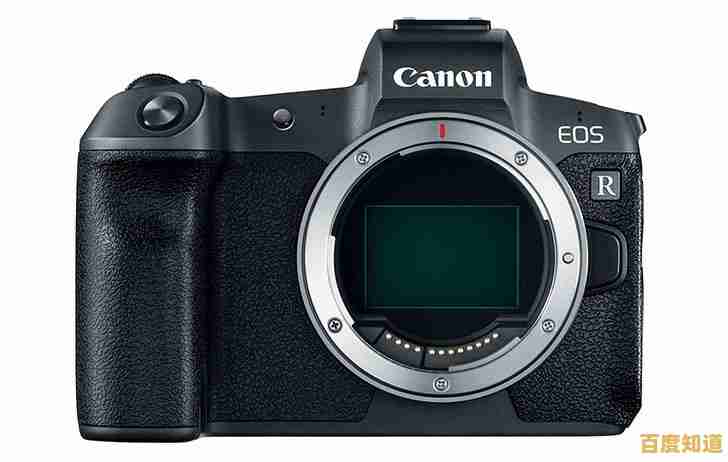 2024年十大单反相机排名与选购指南，助你轻松入手