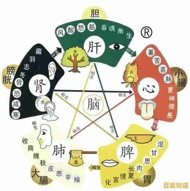 雨木林风养生精髓解析:中医智慧的核心秘籍与实用技巧 雨木林风养生精髓解析:中医智慧的核心秘籍与实用技巧