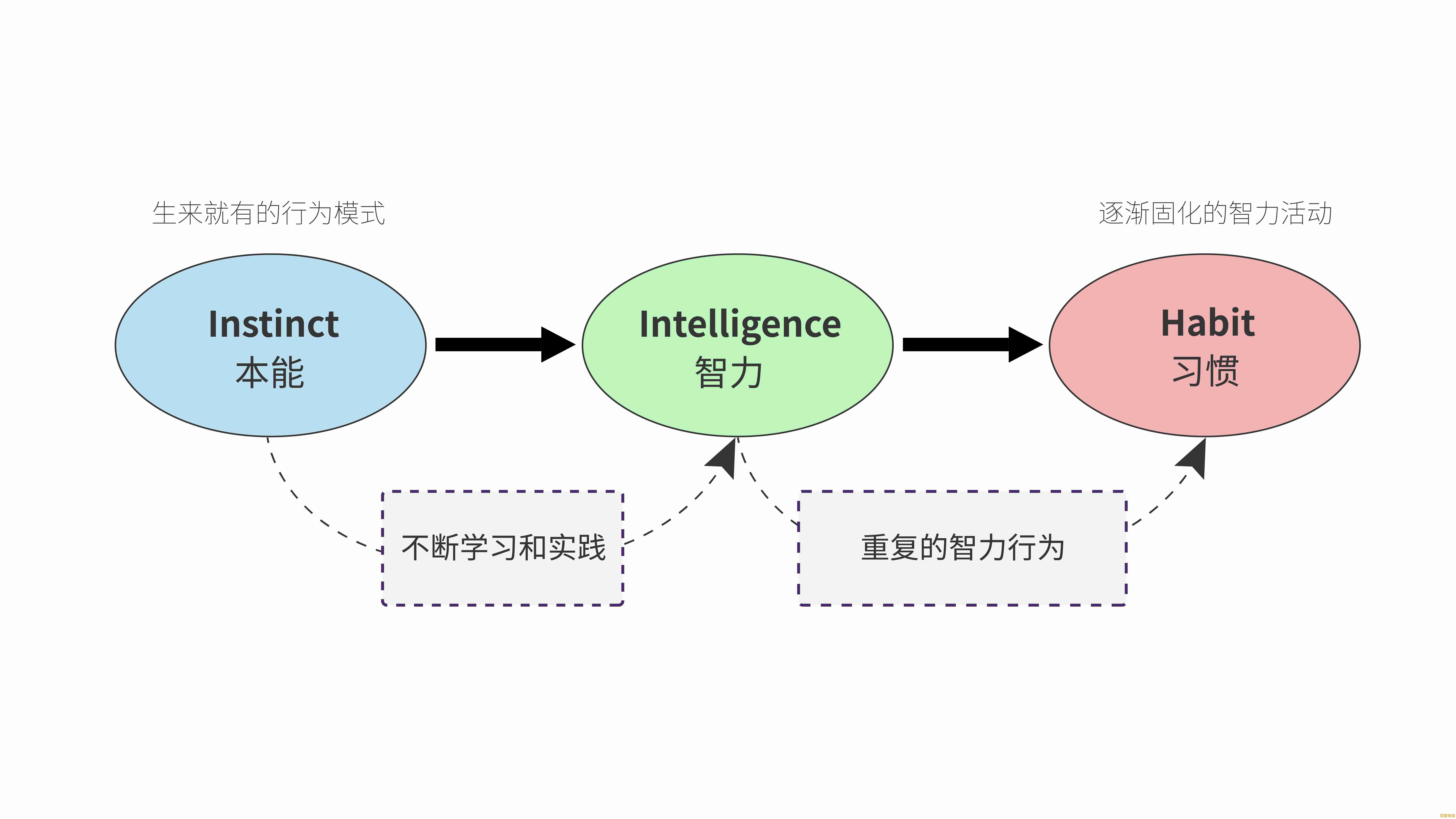 电脑租赁的智慧选择：发掘核心优势并规避潜在风险