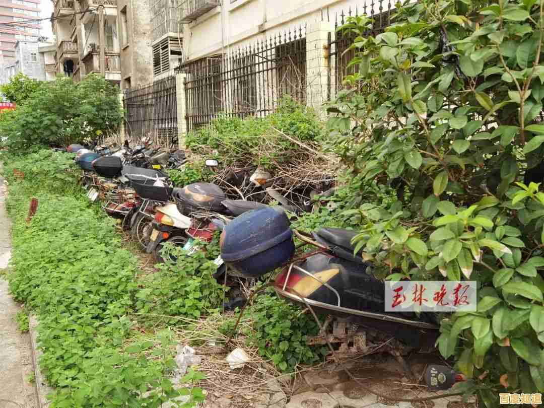 夜晚僵尸来袭，你的家园能守住吗？生存大世界中文版》考验你的智慧！