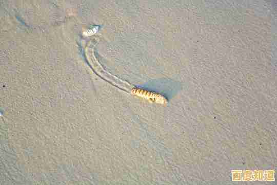 难道你不想体验躲沙虫(Sandworms)带来的放松与快乐吗? 难道你不想体验躲沙虫(Sandworms)带来的放松与快乐吗?