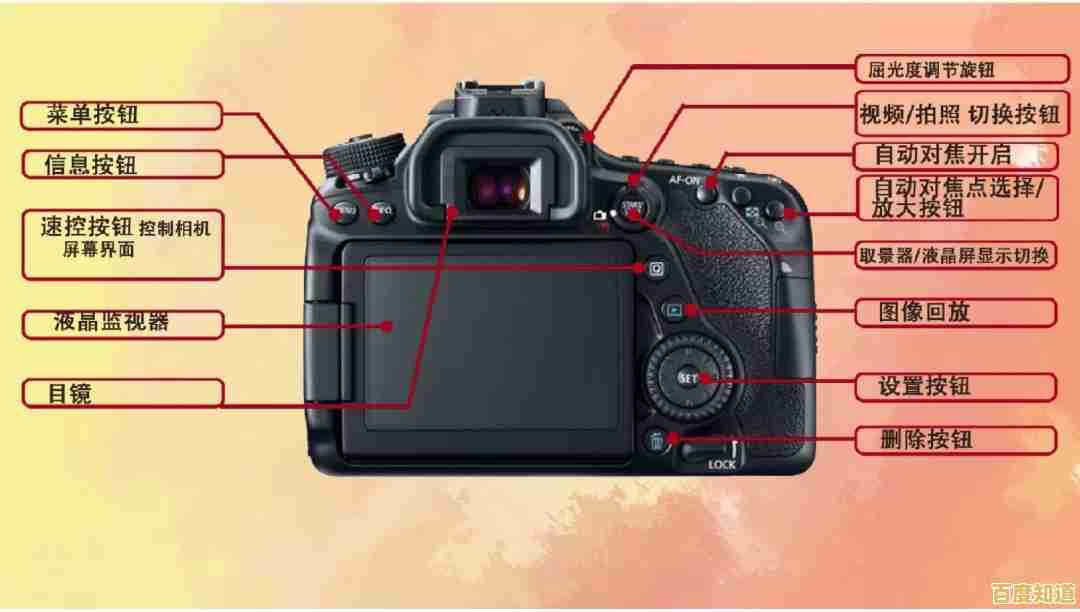 挑选单反相机必看：主流品牌优缺点全解析与购买指南