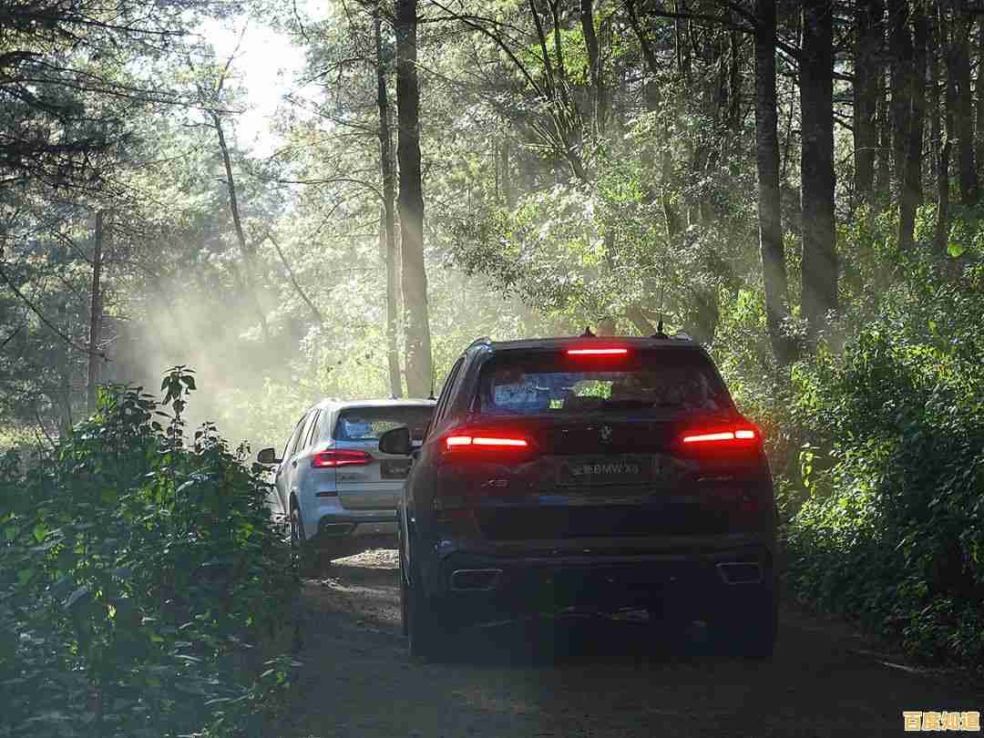 还在寻找高难度模拟驾驶？越野卡车泥泞奔驰》的泥浆与陡坡够胆挑战吗？