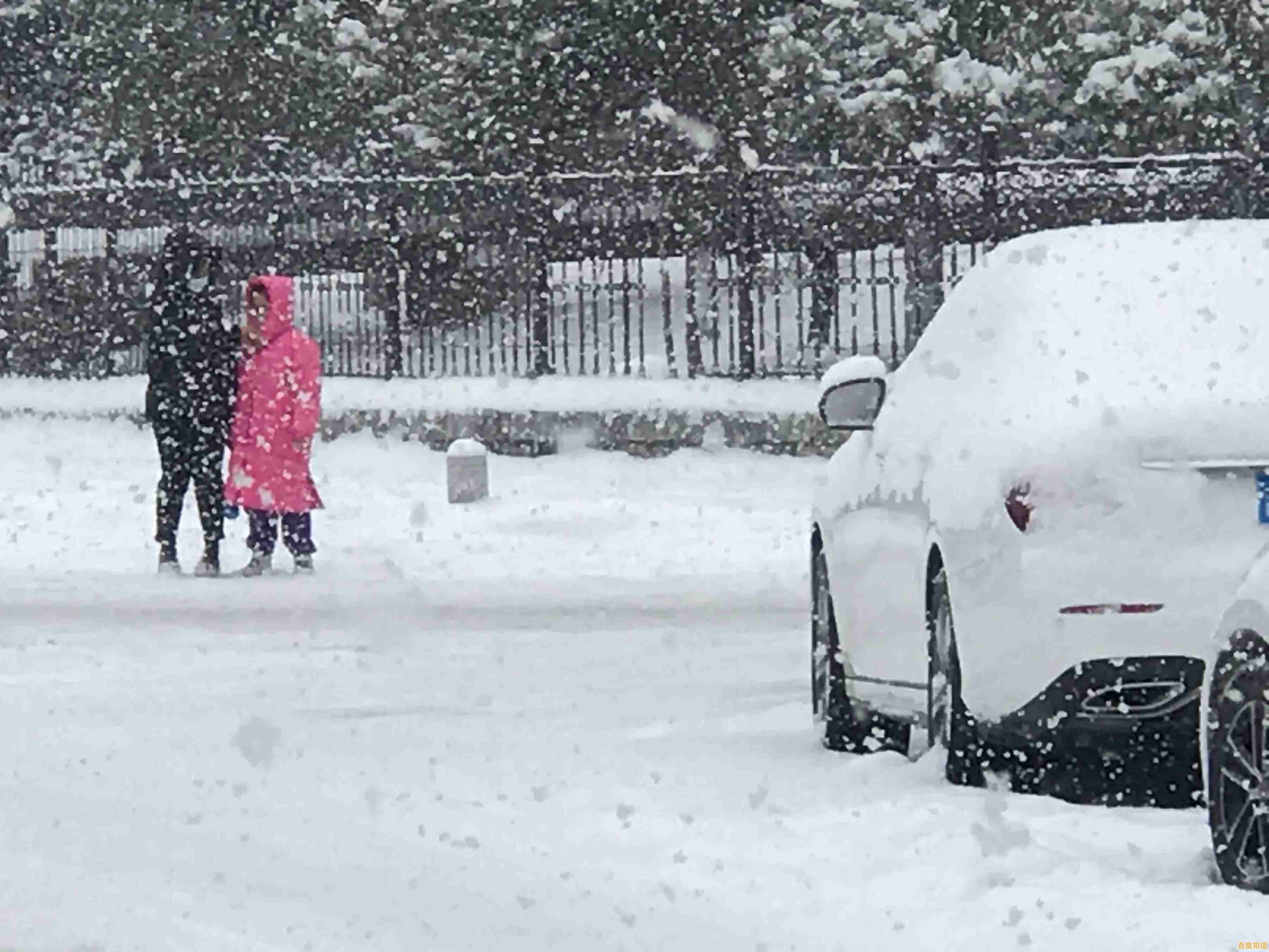 最新版Win11通过迅雷高速下载攻略：详细安装步骤与技巧分享