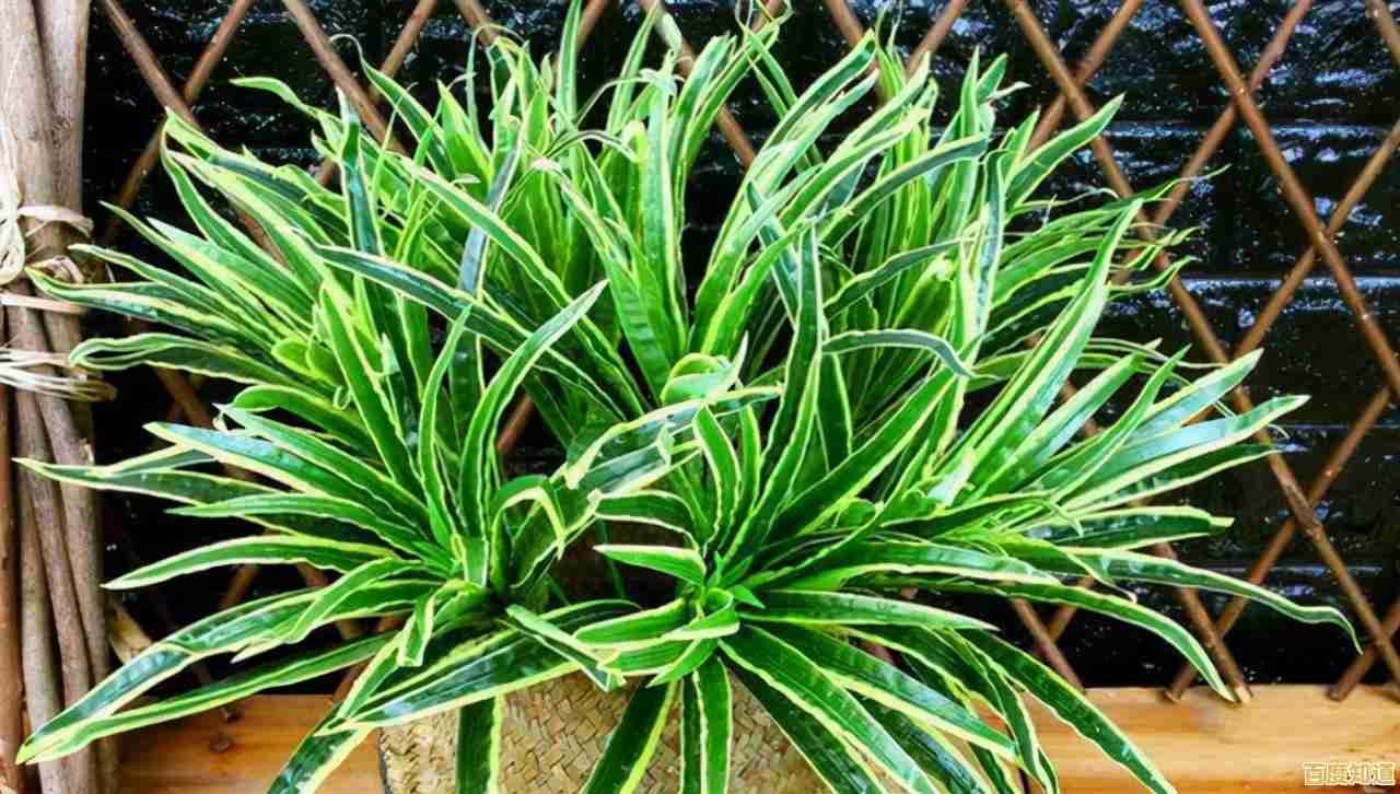 没有太多空闲时间？灵魂根源》给你短时放松的乐趣！