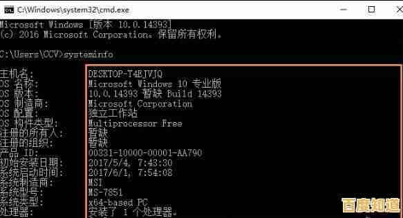 轻松掌握电脑配置：详细步骤教你快速查看系统信息
