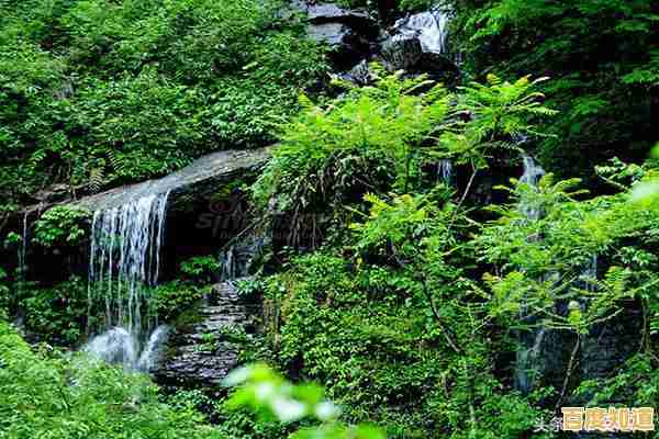 宝藏还是陷阱？逃离幽暗密林》的开放式解谜让你每一秒都心跳过载！