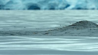 苹果手机截图功能:快速保存屏幕精彩时刻,珍藏日常美好回忆 苹果手机截图功能:快速保存屏幕精彩时刻,珍藏日常美好回忆