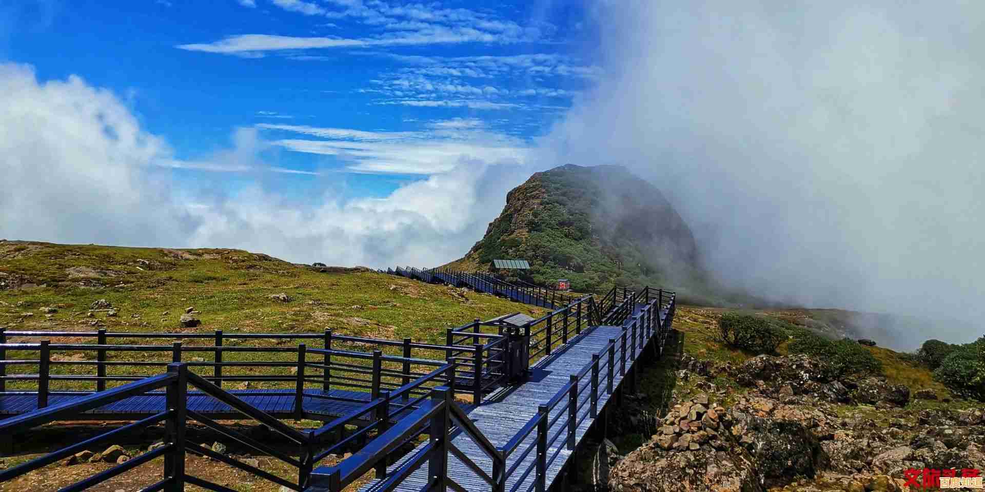 最佳相机选购指南:天梯排名解析各大品牌明星机型,轻松拍出专业级作品! 最佳相机选购指南:天梯排名解析各大品牌明星机型,轻松拍出专业级作品!